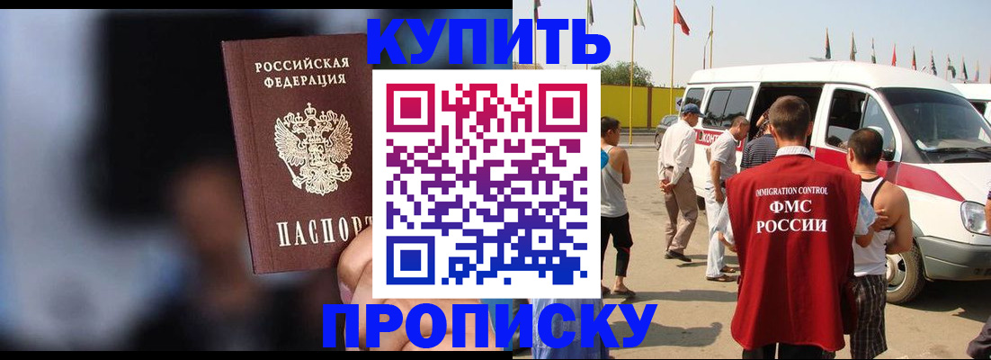 прописка поиск в Звенигово